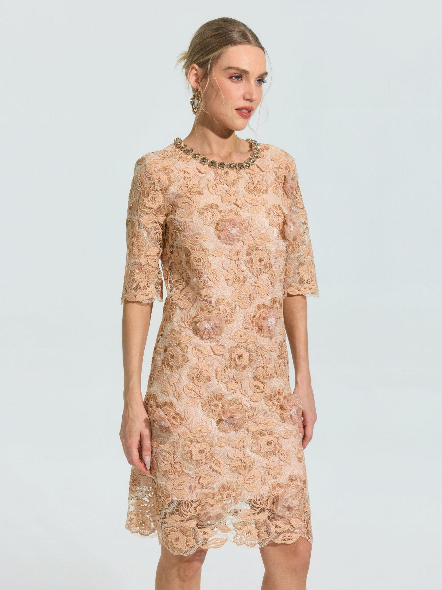 3D Floral Appliqué Lace Shift Dress - Social Queen