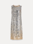 Silver-Gold Sequin Embellished Dress
