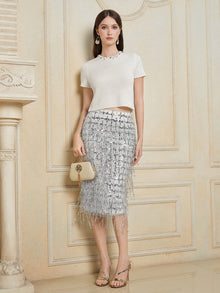 Woman poses indoors against an ornate cream wall in Social Queen's Crystal & Sequin Knit Textured Crop Top, paired with a silver fringed skirt, gold sandals, and a beige purse.