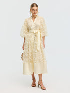 3D Floral Appliqué A-Line Dress