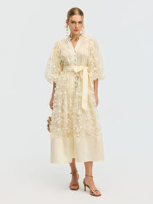 3D Floral Appliqué A-Line Dress
