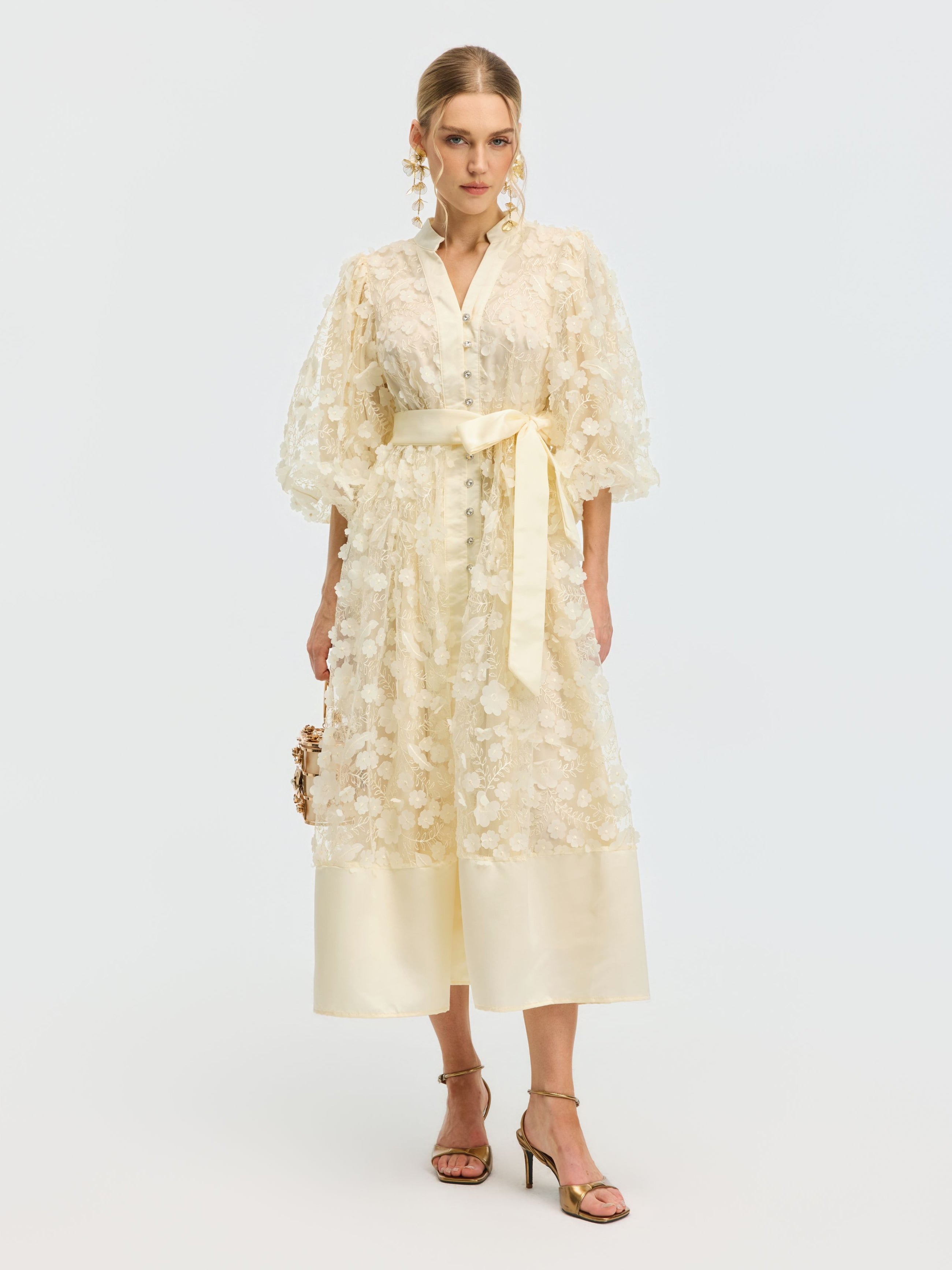 3D Floral Appliqué A-Line Dress