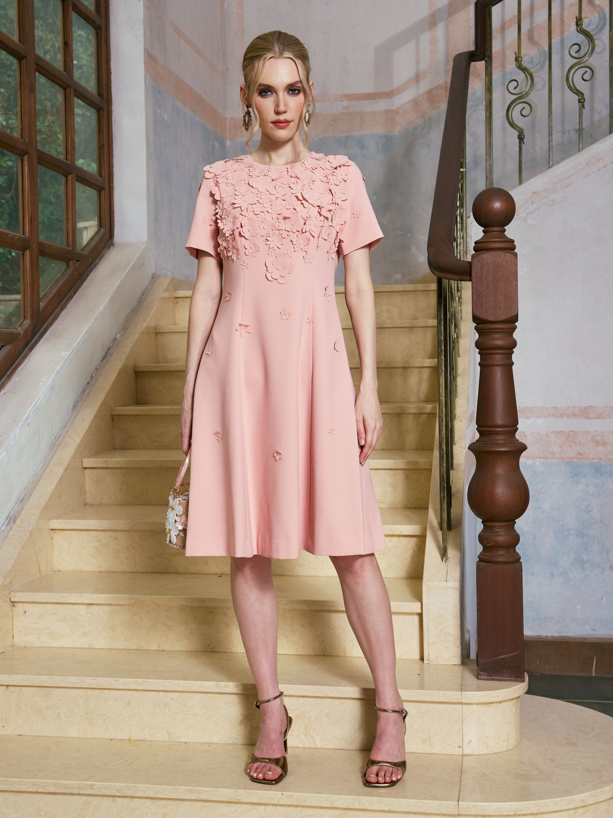 3D Floral Appliqué A-Line Dress