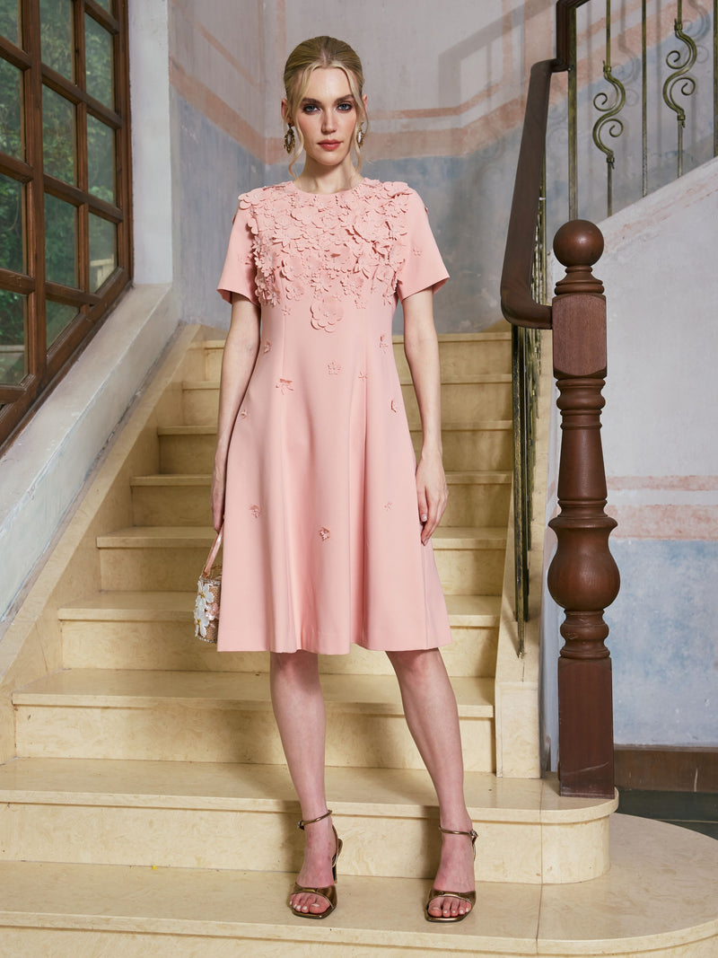 3D Floral Appliqué A-Line Dress