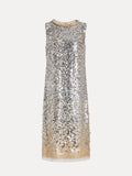 The Social Queen Ombre Silver & Gold Sequin Embellished Dress features a diamond-trimmed neckline, is sleeveless with a beige underlayer, and is displayed on a plain white background.