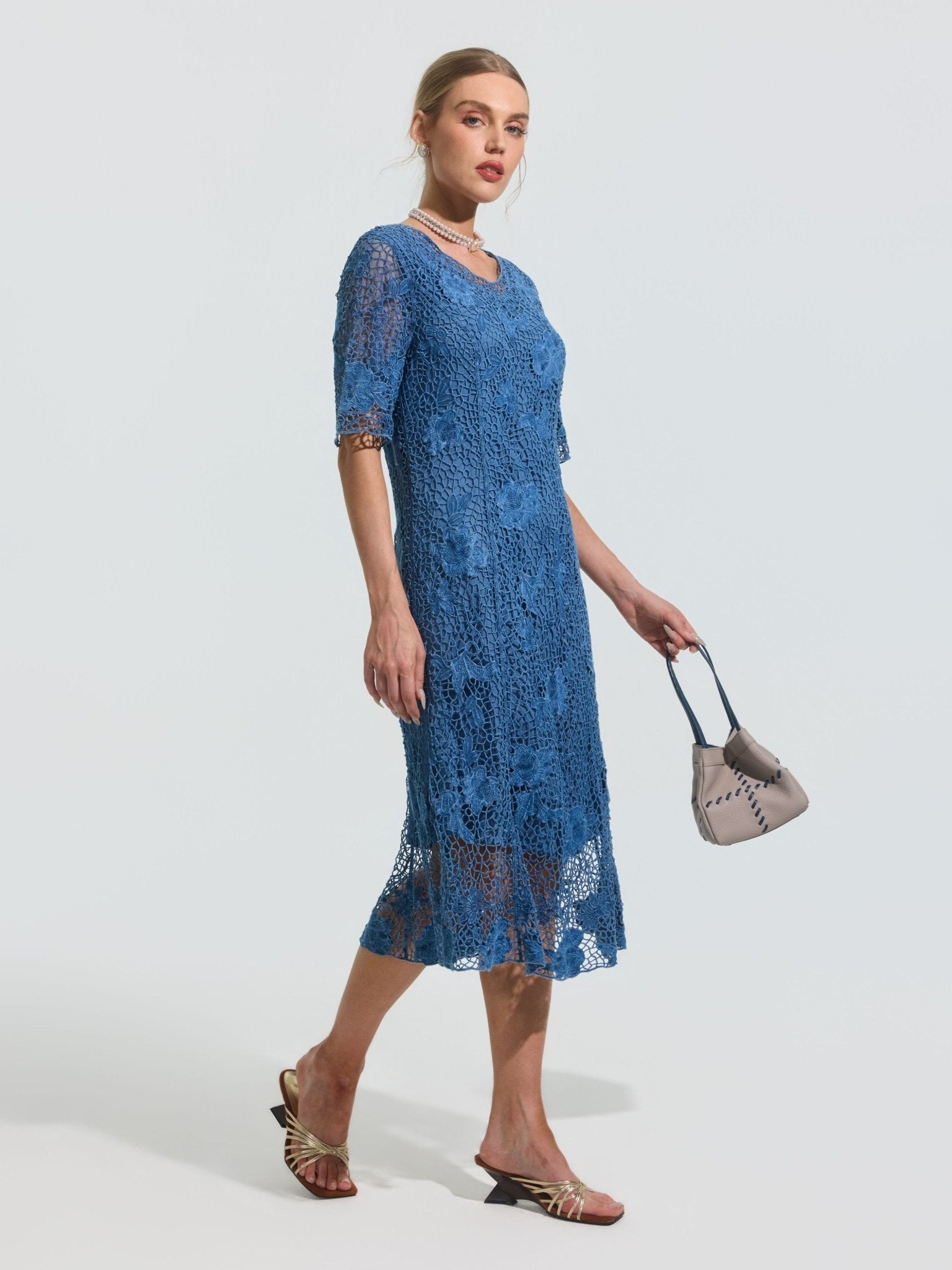 Rose Embroidered Lace Dress - Social Queen