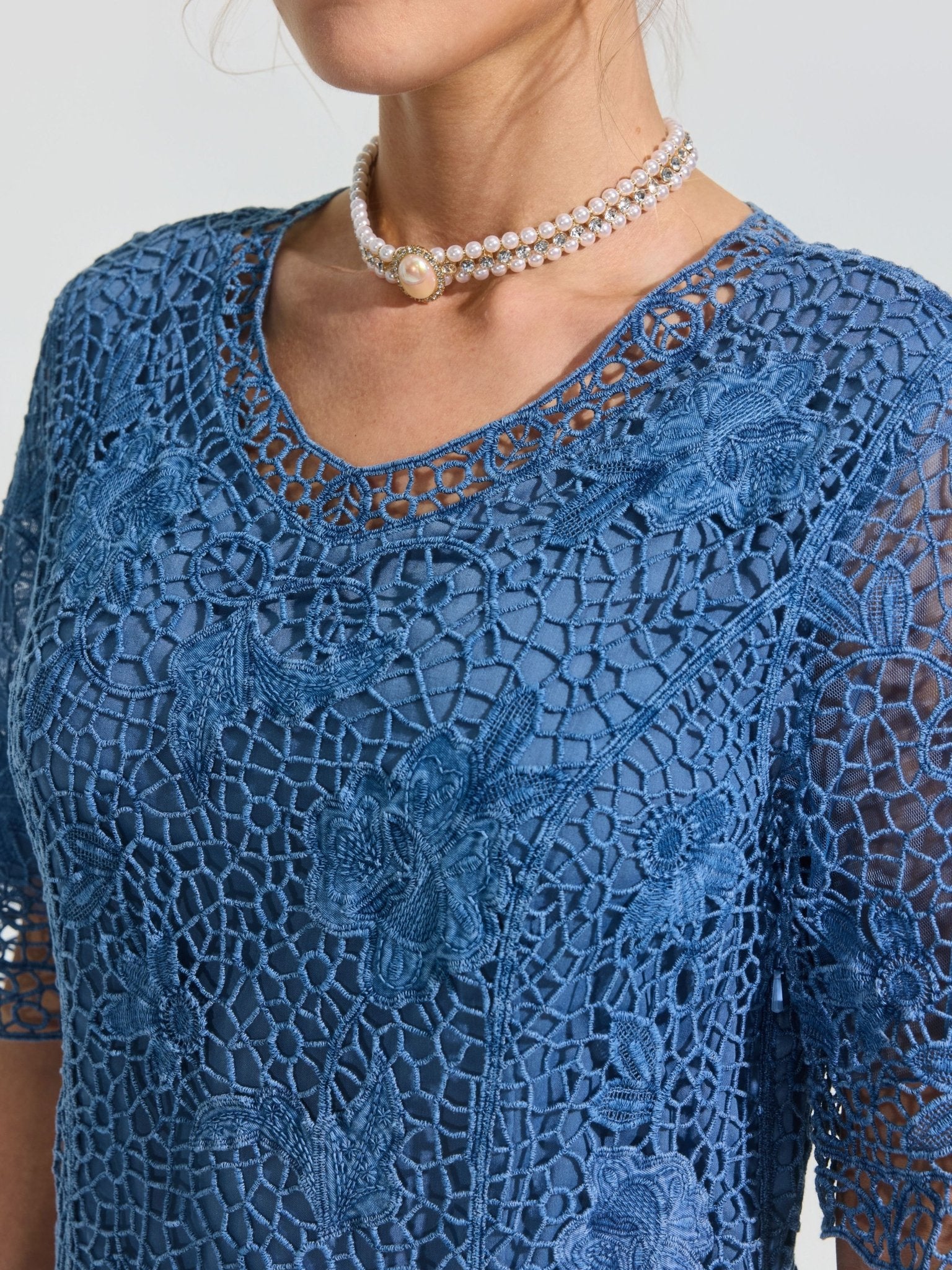 Rose Embroidered Lace Dress - Social Queen
