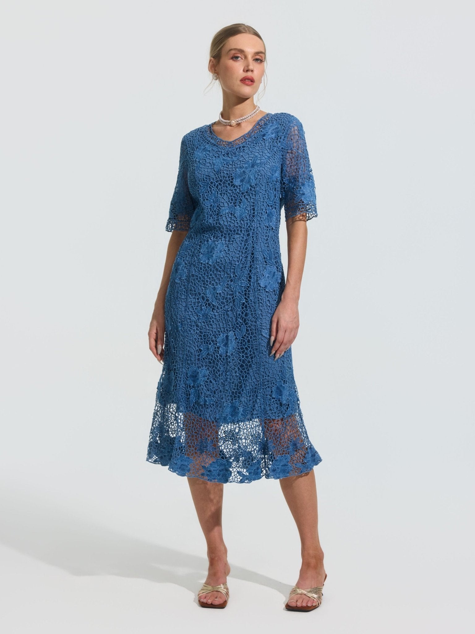 Rose Embroidered Lace Dress - Social Queen